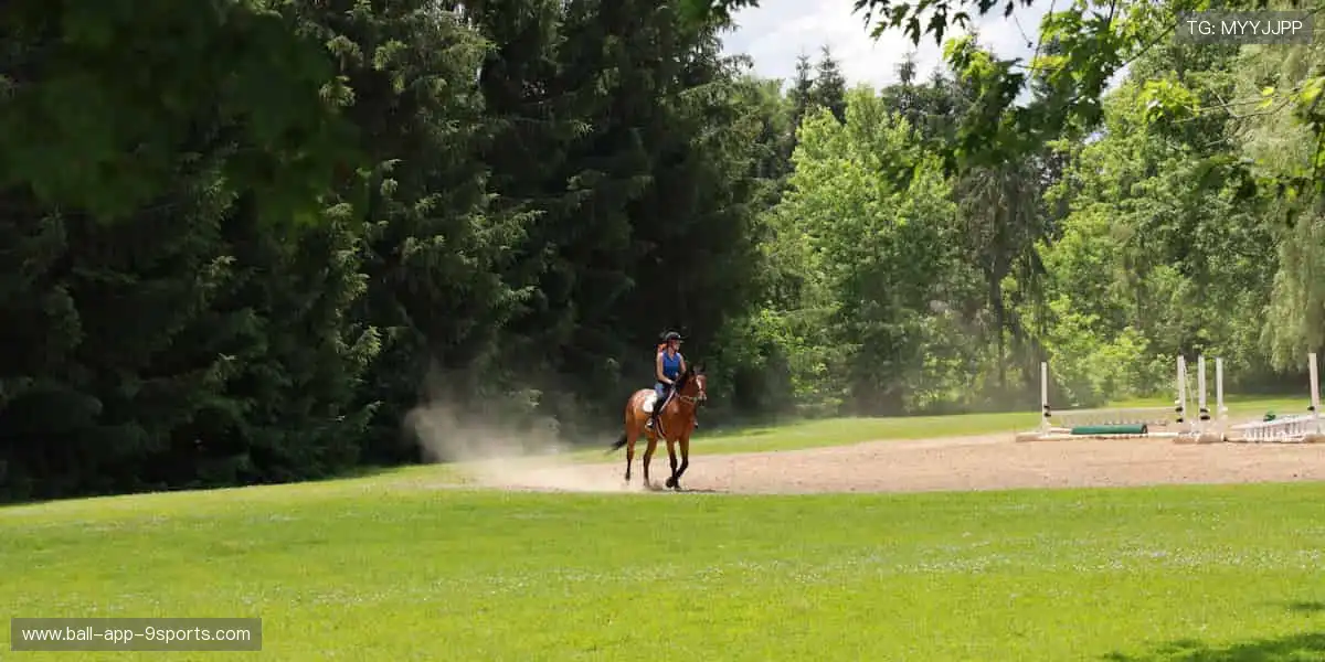 🎁限量发售,手慢无!💪品质保证,球迷必备神器!
